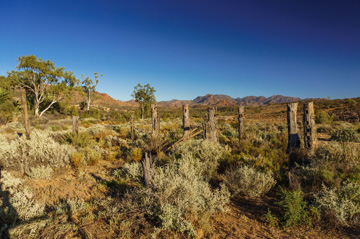 September 2013 / THE_RUN_2013_026_(130926)