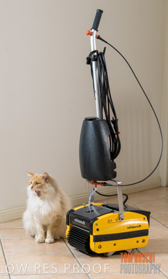 July 2020 / ROTOWASH_077