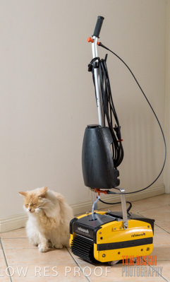 July 2020 / ROTOWASH_078