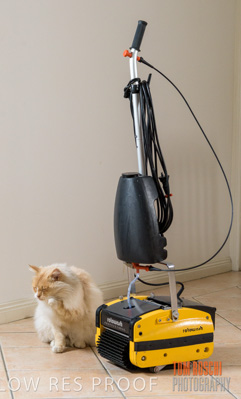 July 2020 / ROTOWASH_080