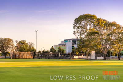 December 2019 / KRO_191218_052