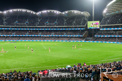 May 2021 / SACA_CORP_210508_090