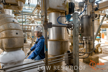 January 2018 / MOOMBA_PLANT_OP_STAFF_DAY_180129__0224