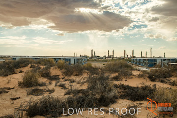 January 2018 / MOOMBA_PLANT_EXTERIORS_EVENING_180129__0014