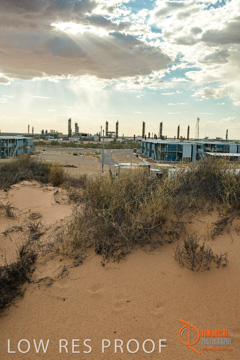 January 2018 / MOOMBA_PLANT_EXTERIORS_PM_P04_180129__0003