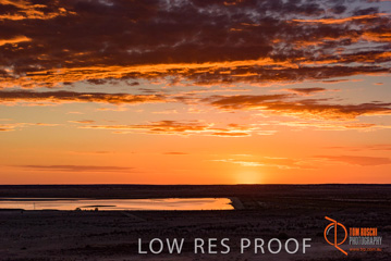 January 2018 / MOOMBA_PLANT_EXT_Twilight_180130__0011