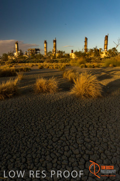 January 2018 / MOOMBA_PLANT_EXT_Twilight_180130__0039