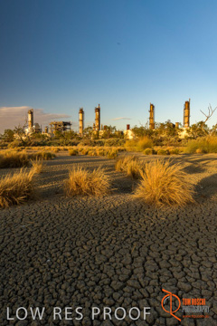 January 2018 / MOOMBA_PLANT_EXT_Twilight_180130__0044