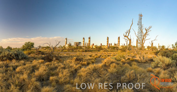 January 2018 / MOOMBA_PLANT_EXT_twilight_P08_180130__0001