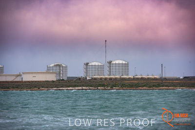 January 2018 / PT_BONYTHON_EXT_Twilight_180131_007