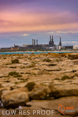 February 2018 / PT_BONYTHON_EXT_Twilight_180201_040