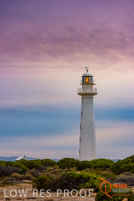 February 2018 / PT_BONYTHON_EXT_Twilight_180201_042