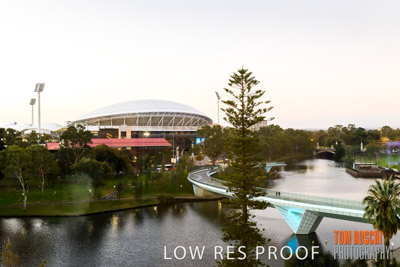 AAPEA_ADL_180515_083