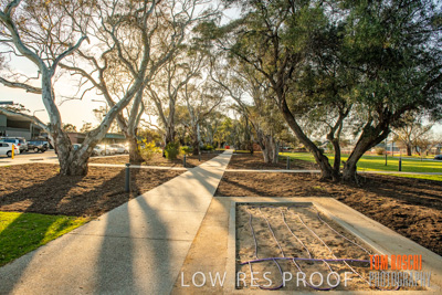 August 2018 / KG_WALK_180828_TRP7147