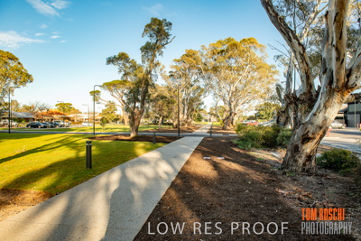 August 2018 / KG_WALK_180828_TRP7252