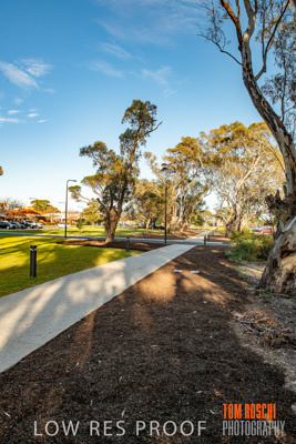 August 2018 / KG_WALK_180828_TRP7270