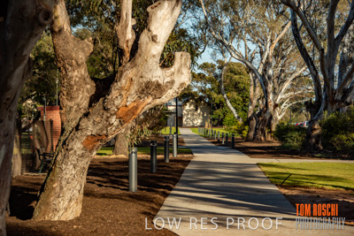 August 2018 / KG_WALK_180828_TRP7941