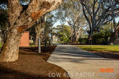 August 2018 / KG_WALK_180828_TRP7944