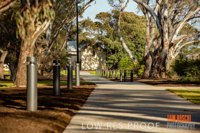 August 2018 / KG_WALK_180828_TRP7965