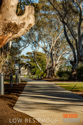 August 2018 / KG_WALK_180828_TRP7977