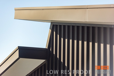 August 2018 / LIFESTYLE_PRECINCT_180828_TRP8142