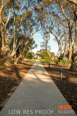 August 2018 / KG_WALK_180828_TRP7243