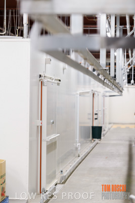 January 2019 / SAINTS_036