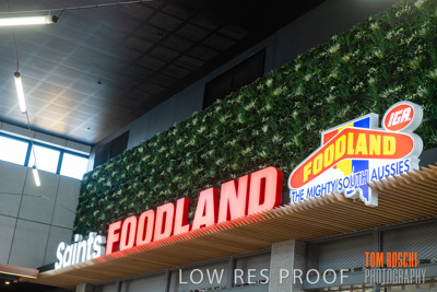 January 2019 / SAINTS_075-HDR