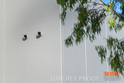 January 2019 / SAINTS_106