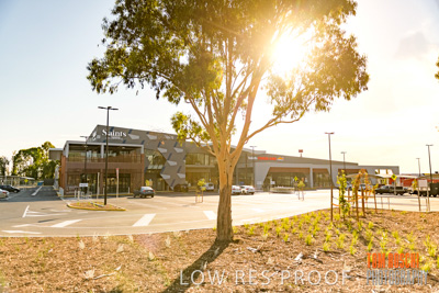 January 2019 / SAINTS_124-HDR