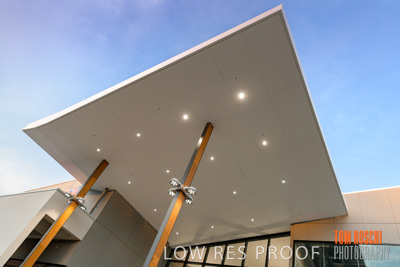 January 2019 / SAINTS_308