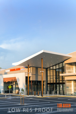 January 2019 / SAINTS_329