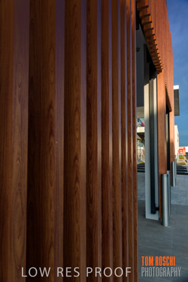 January 2019 / SAINTS_382