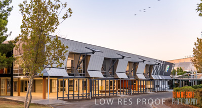 January 2019 / FLC_TANUNDA_020