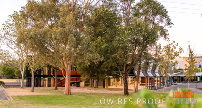January 2019 / FLC_TANUNDA_025