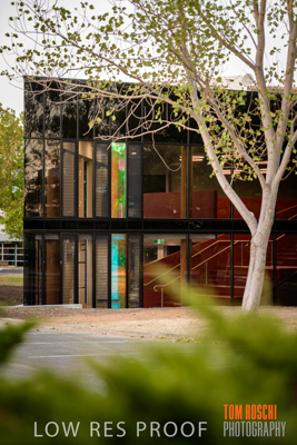 January 2019 / FLC_TANUNDA_047