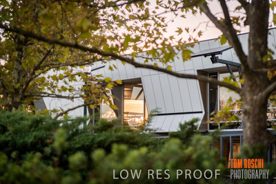 January 2019 / FLC_TANUNDA_068