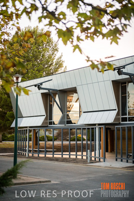 January 2019 / FLC_TANUNDA_069