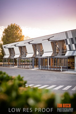 January 2019 / FLC_TANUNDA_079