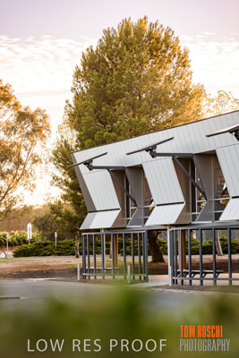 January 2019 / FLC_TANUNDA_082