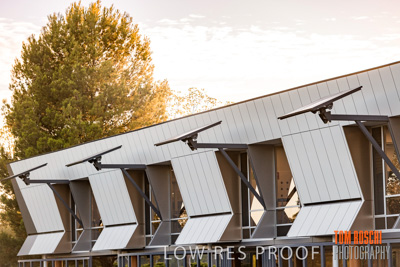 January 2019 / FLC_TANUNDA_085