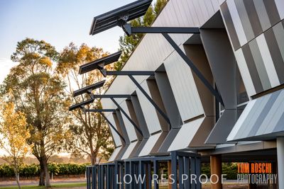 January 2019 / FLC_TANUNDA_096