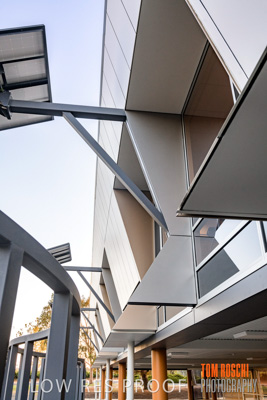 January 2019 / FLC_TANUNDA_101