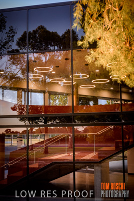 January 2019 / FLC_TANUNDA_109