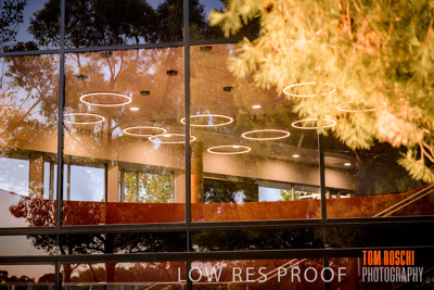 January 2019 / FLC_TANUNDA_110