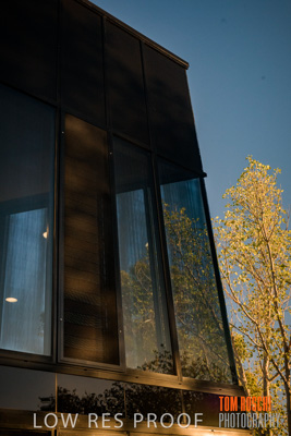 January 2019 / FLC_TANUNDA_126