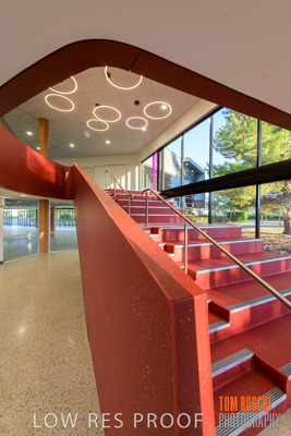 January 2019 / FLC_TANUNDA_131