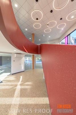 January 2019 / FLC_TANUNDA_204