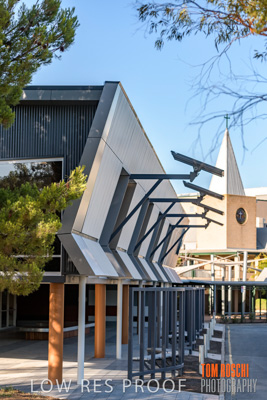 January 2019 / FLC_TANUNDA_220