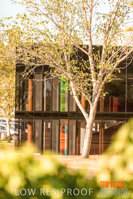 January 2019 / FLC_TANUNDA_237